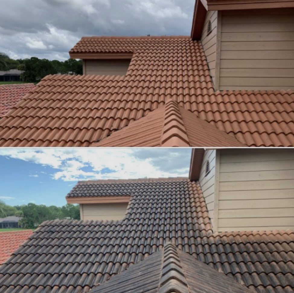 Roof cleaning before and after in Orange County